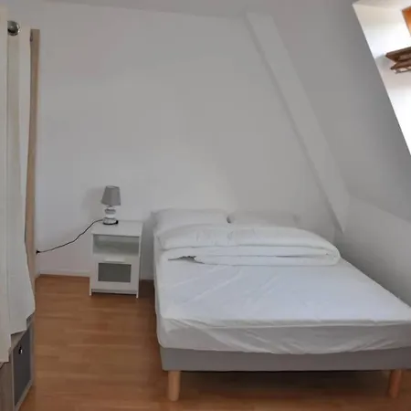 Duplex En Hypercentre, Quartier Historique Tours